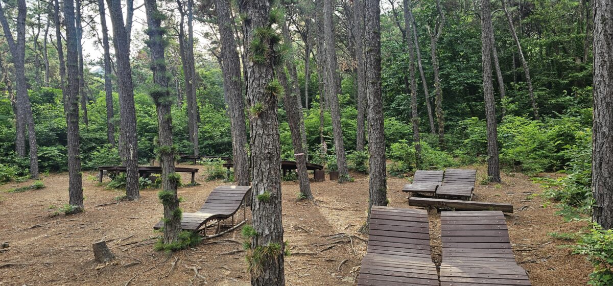 모락산 중간벤치