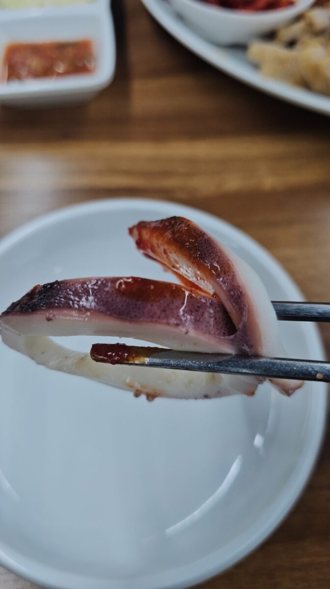 호계동 양은이네 오징어보쌈